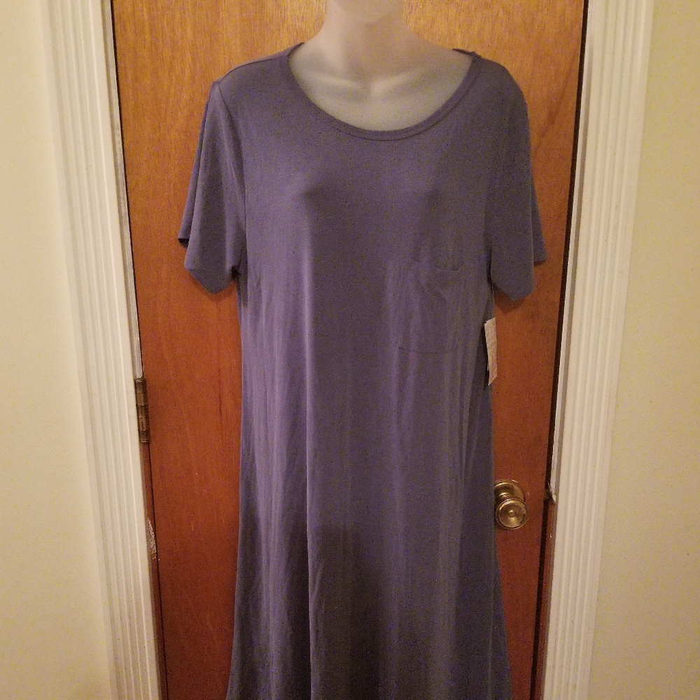 Lularoe Woman's Cathy Blue Dress size Large